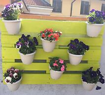 B&B La Terrazza