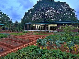 Governor's Gangula