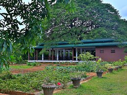 Governor's Gangula