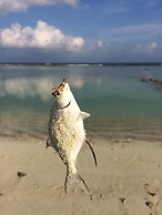 Pine Lodge Maldives