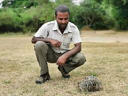 Big Game Yala by Eco Team