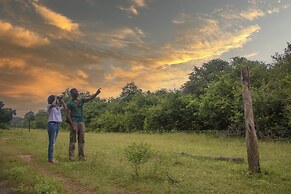 Big Game - Udawalawe by Eco Team