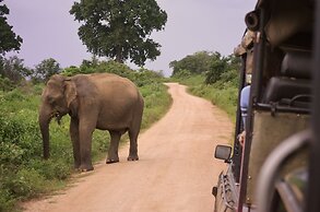 Big Game - Udawalawe by Eco Team