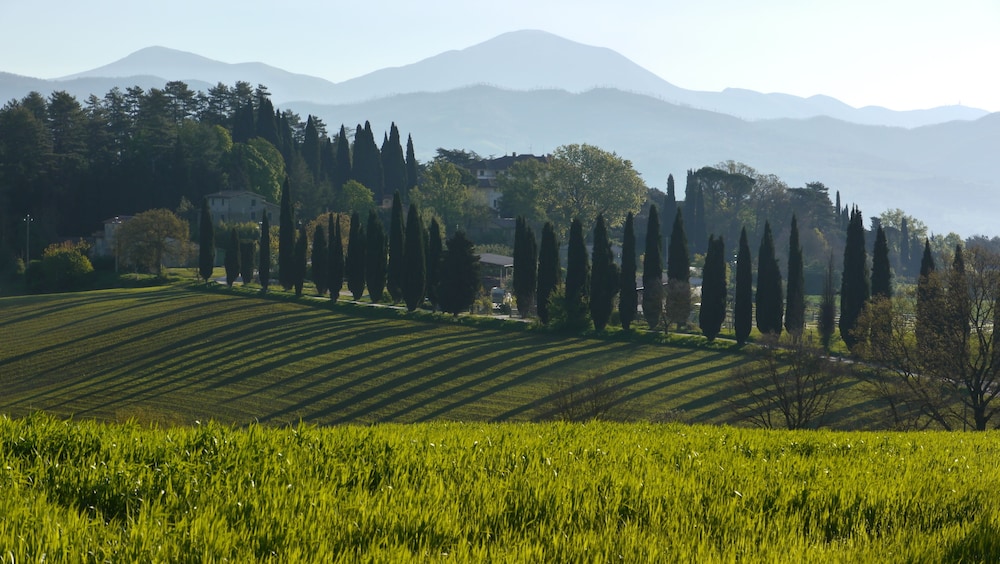 Agriturismo Kebio