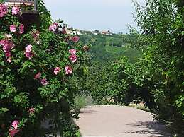 Boutique Hotel Dvor