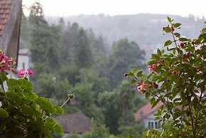 Sapa Local House