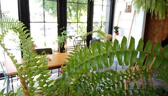 ReWood Guesthouse