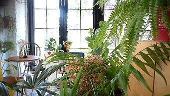 ReWood Guesthouse