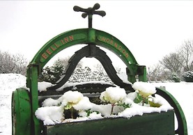 The Bell Inn