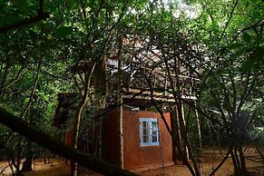 Back of Beyond - Pidurangala