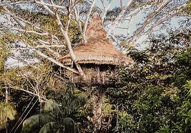 Treehouse Lodge