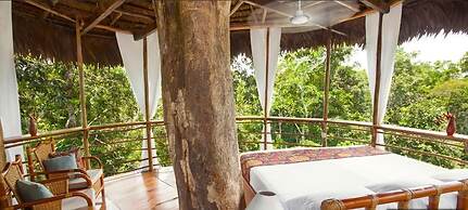 Treehouse Lodge