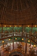 Treehouse Lodge
