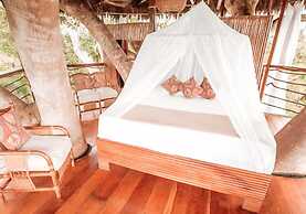 Treehouse Lodge