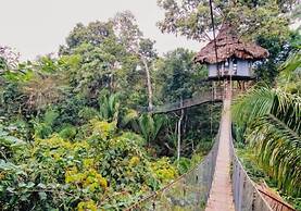 Treehouse Lodge