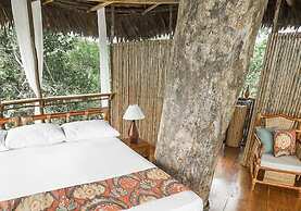 Treehouse Lodge