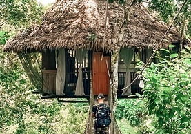 Treehouse Lodge