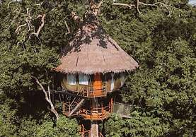 Treehouse Lodge