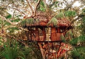 Treehouse Lodge