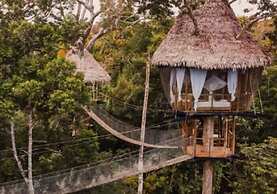 Treehouse Lodge