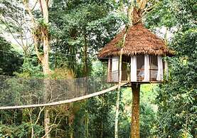 Treehouse Lodge