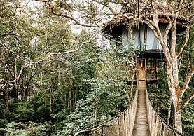 Treehouse Lodge