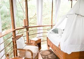 Treehouse Lodge