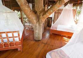 Treehouse Lodge