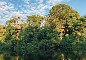 Treehouse Lodge