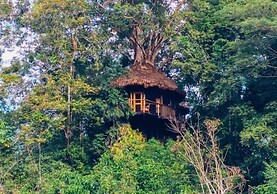 Treehouse Lodge