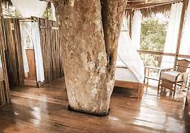 Treehouse Lodge