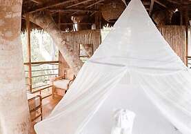 Treehouse Lodge