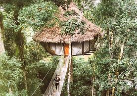 Treehouse Lodge