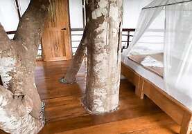 Treehouse Lodge