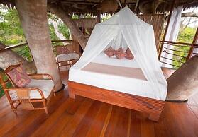 Treehouse Lodge