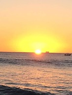 Sunset Oasis