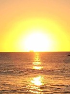 Sunset Oasis