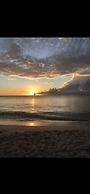 Sunset Oasis