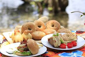 Discovery Island Resort