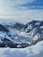 Hotel Alpina