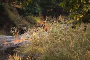 Pench Jungle Camp