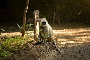 Pench Jungle Camp