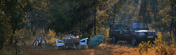 Pench Jungle Camp