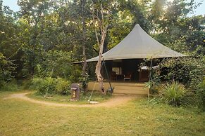 Pench Jungle Camp