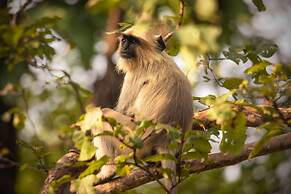 Pench Jungle Camp