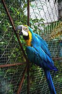 Panama House Bed & Breakfast