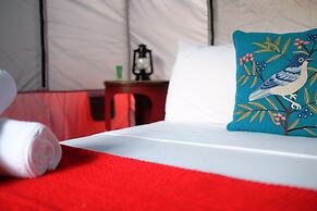 Panama House Bed & Breakfast