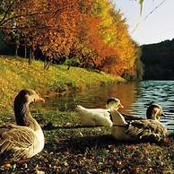 Lopota Lake Resort & Spa