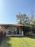 Asiatic Lion Lodge