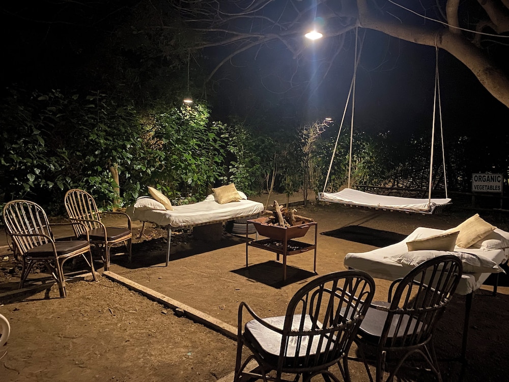 Asiatic Lion Lodge